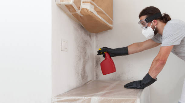 Professional Crawl Space Mold Remediation technician working in Mattapan, MA