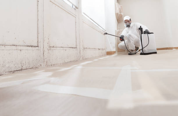 24/7 Emergency Crawl Space Mold Remediation experts in Mattapan, MA